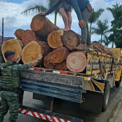 Homem é preso por transportar toras de madeira sem documentação ambiental em Almenara